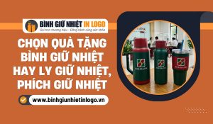 Nên Chọn Bình Giữ Nhiệt Hay Ly Giữ Nhiệt, Phích Giữ Nhiệt Làm Quà Tặng?