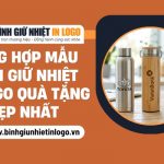 Tổng hợp các mẫu bình giữ nhiệt đẹp nhất